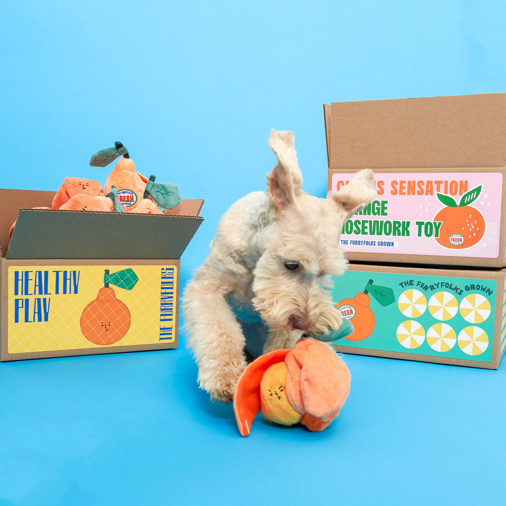 The Furryfolks – Orange – Dog Interactive Nosework Toy
