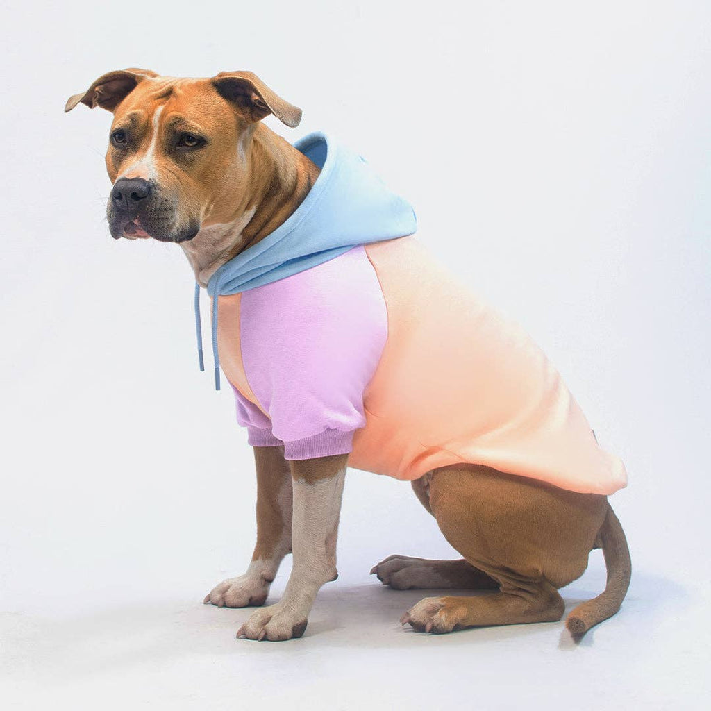 Spark Paws - Cotton Candy Dog Hoodie