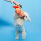 The Furryfolks – Orange – Dog Interactive Nosework Toy