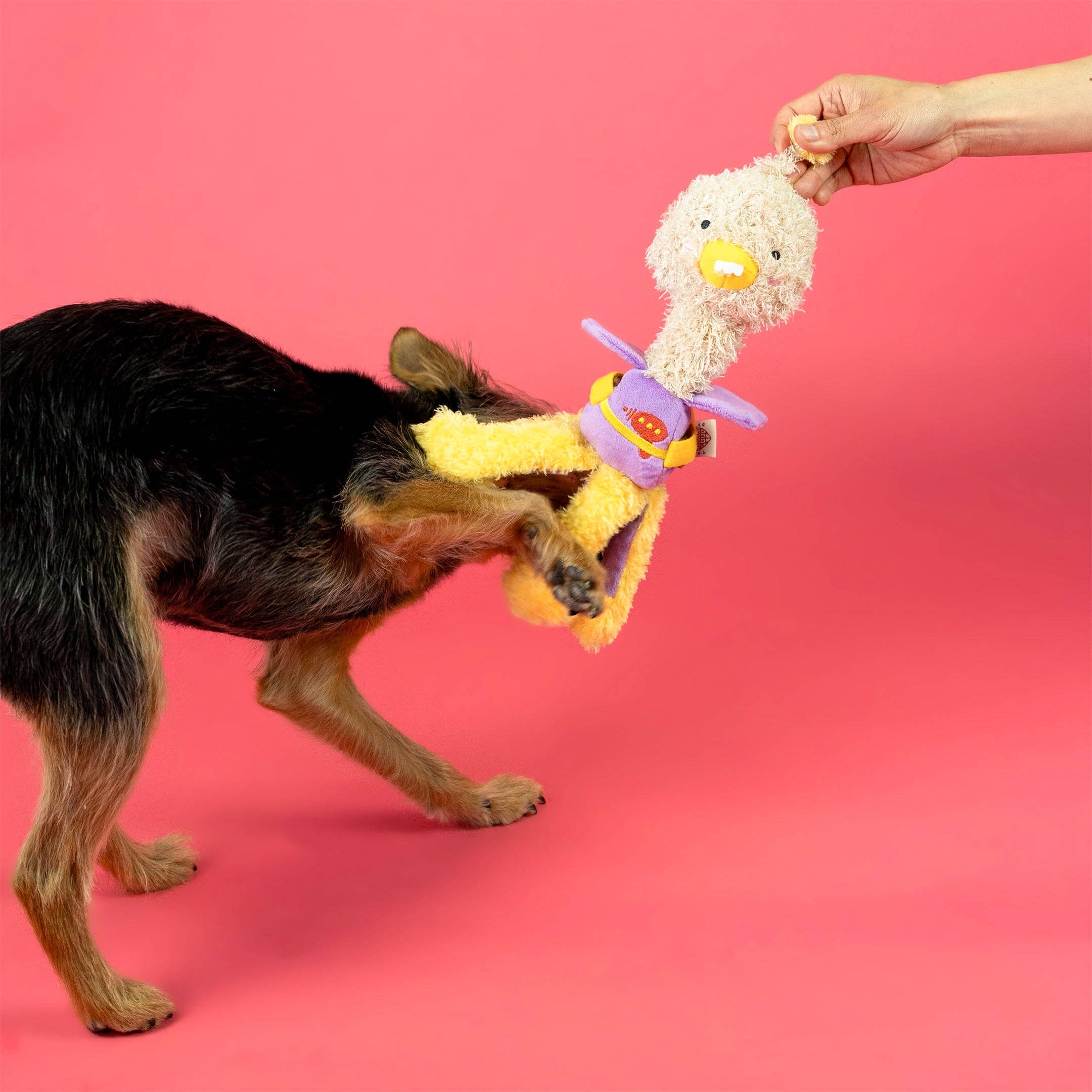 The Furryfolks – OstriKraken – Juguete Interactivo