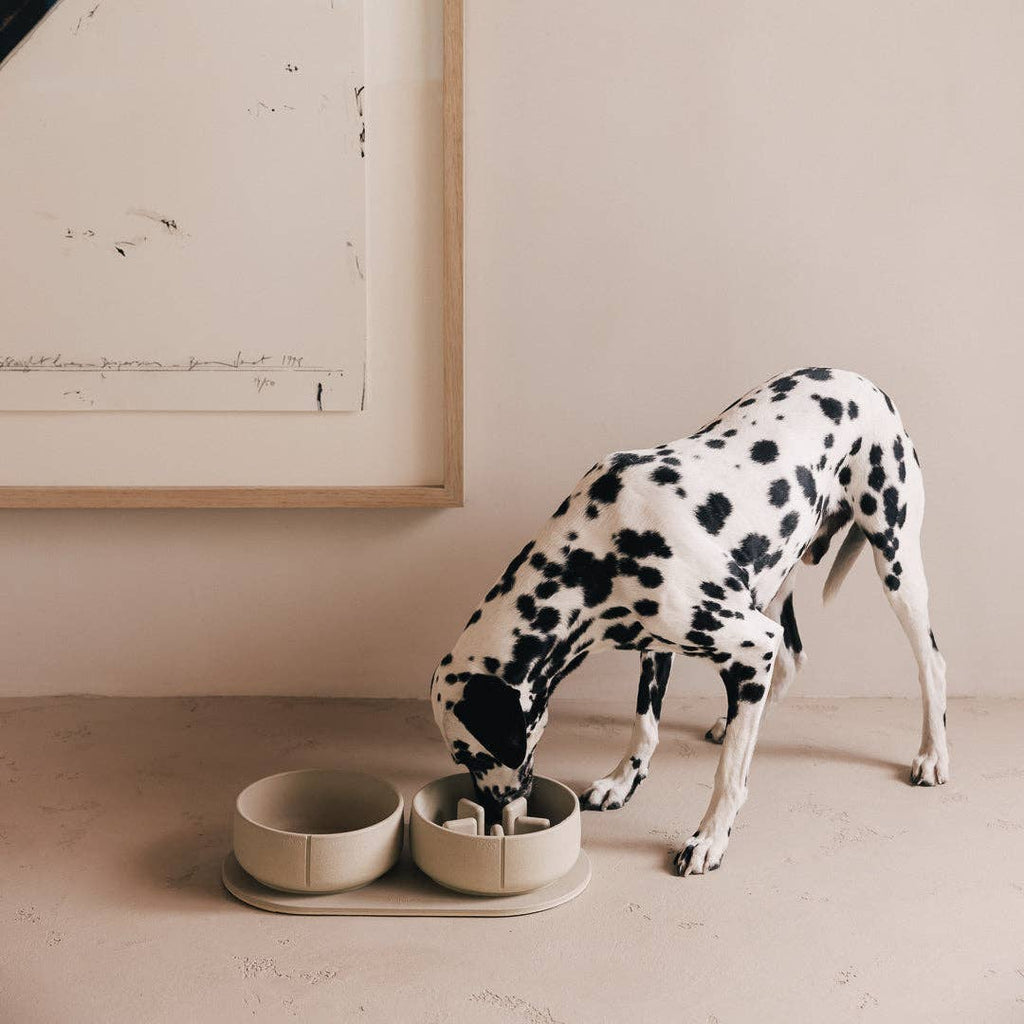 Pino – Classic Dog Bowl – Ultra-durable Sandstone & Hypoallergenic