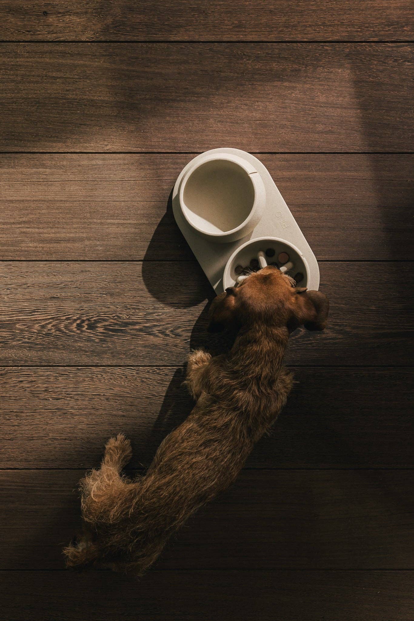 Pino – Slow Feeder Bowl – Ultra-durable Sandstone & Hypoallergenic