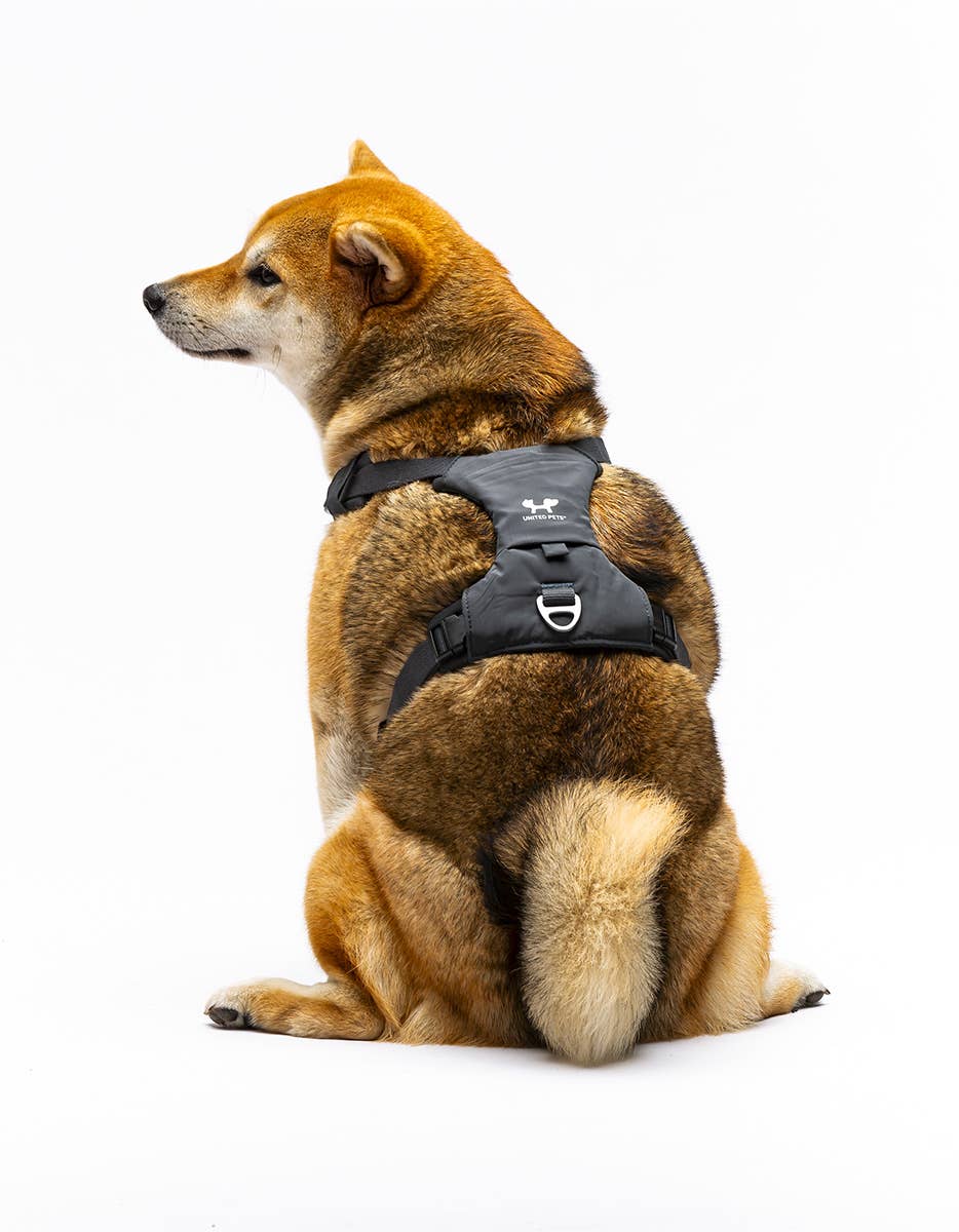United Pets – Citylife H-Harness Anthracite Grey – Padded Comfort