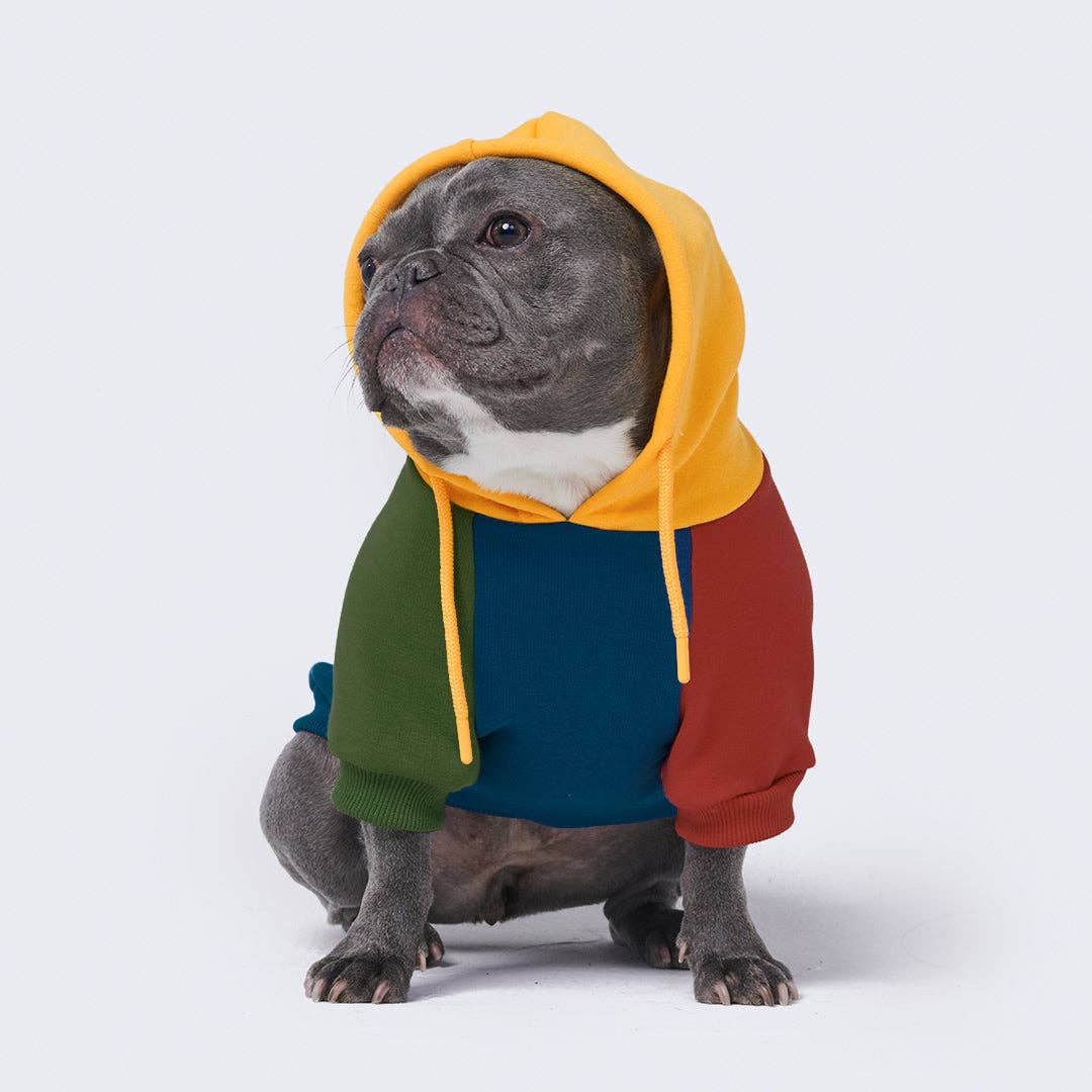 Spark Paws - Primary Color Block Dog Hoodie
