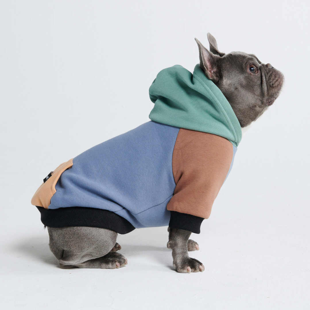 Spark Paws - Alpine Dog Hoodie