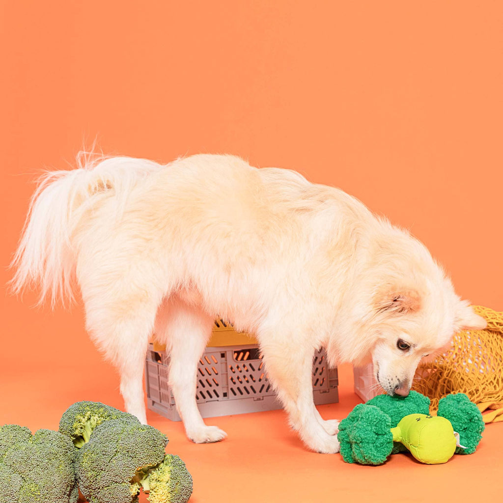 The Furryfolks – Broccoli Nose – Dog Interactive Nosework Toy