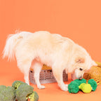 The Furryfolks – Broccoli Nose – Dog Interactive Nosework Toy