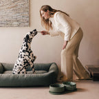 Pino – Cuenco Clásico para Perros – Ultra-durable Arenisca & Hipoalergénico