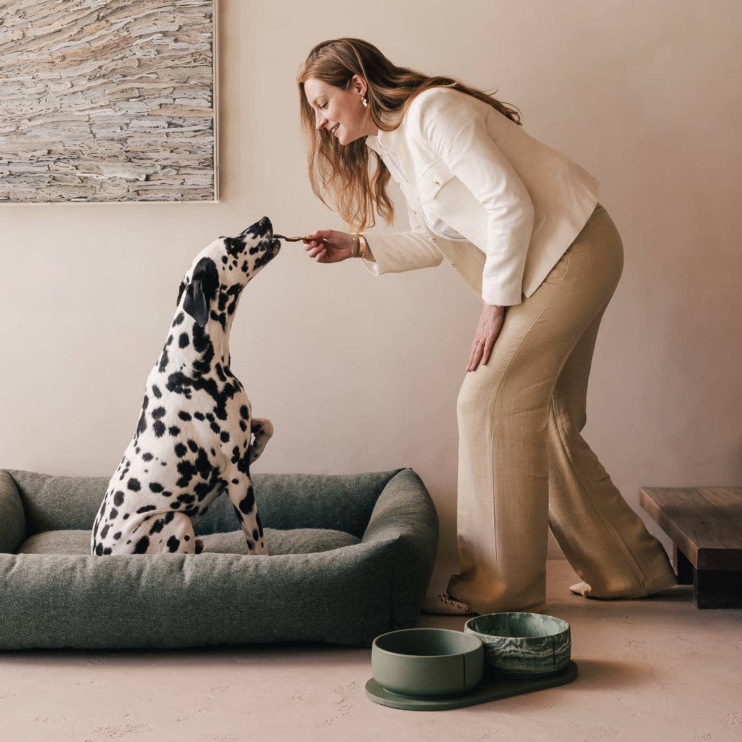 Pino – Cuenco Clásico para Perros – Ultra-durable Arenisca & Hipoalergénico