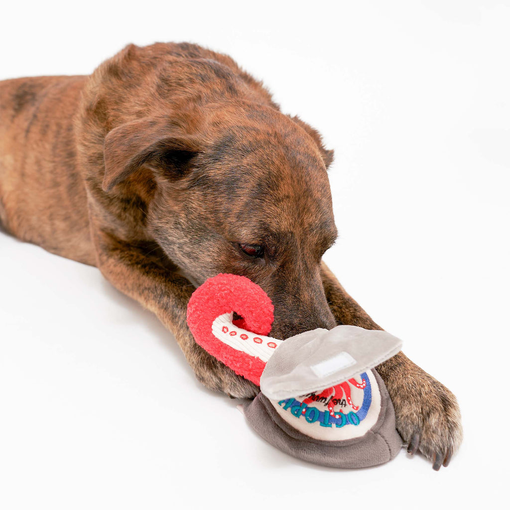 The Furryfolks – Tinned Octopus – Dog Interactive Nosework Toy