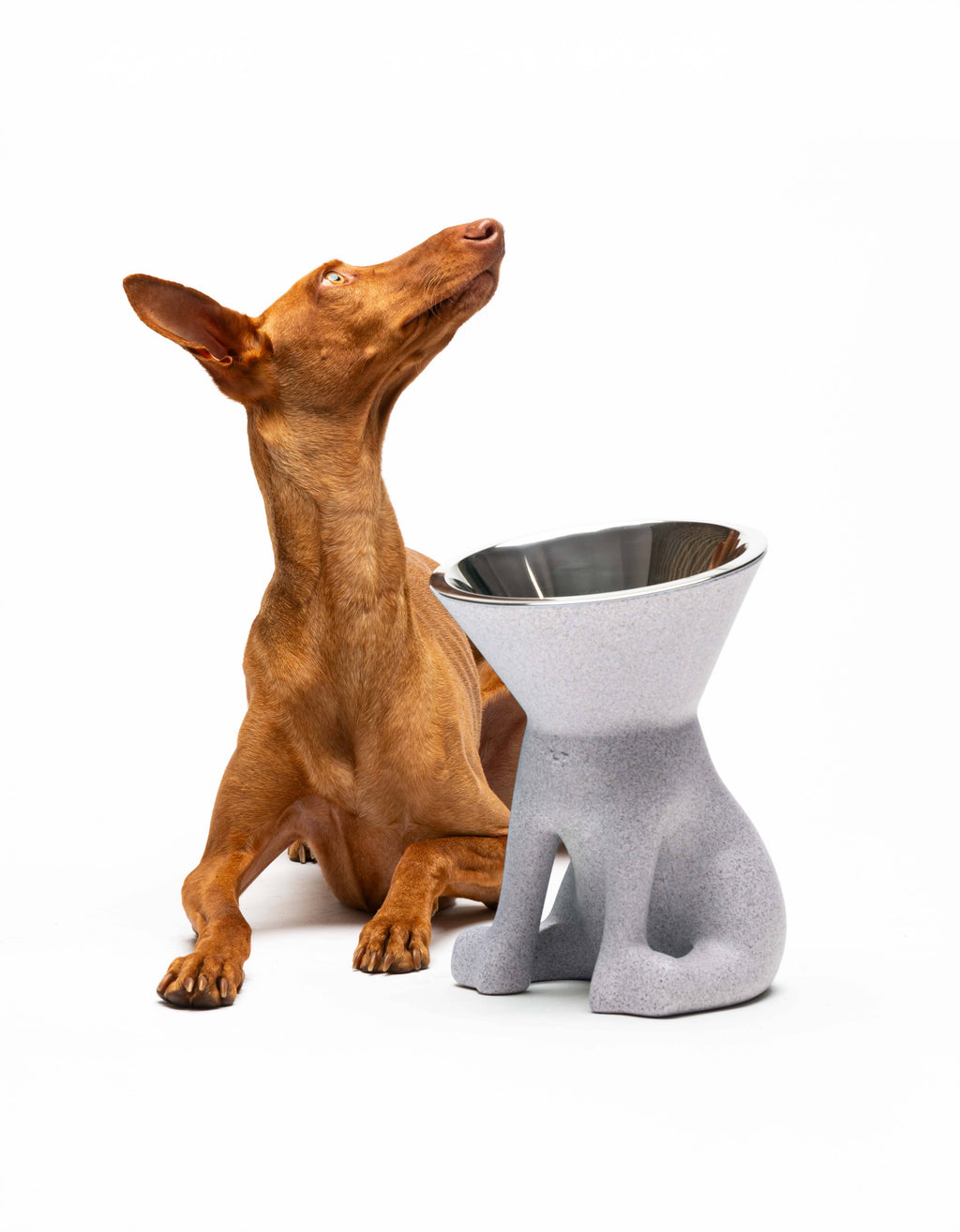 United Pets – Elizabeth – Raised Dog Bowl 1.1L
