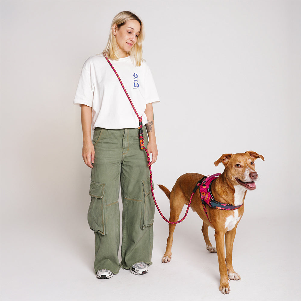 Zee.Dog – Selva – Hands-Free Leash