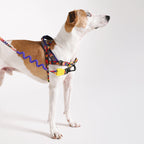Zee.Dog – Samba SofterWalk Harness – No-Pull