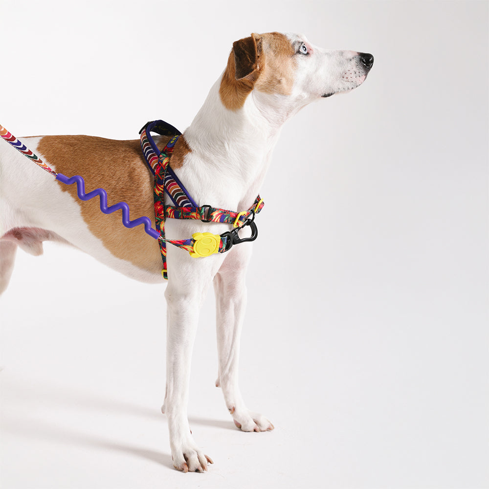 Zee.Dog – Samba SofterWalk Harness – No-Pull