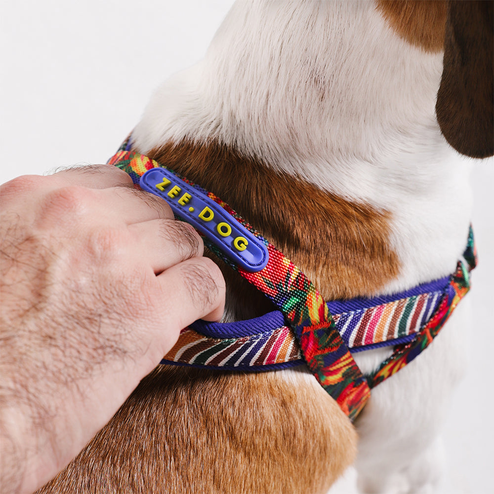 Zee.Dog – Samba SofterWalk Harness – No-Pull