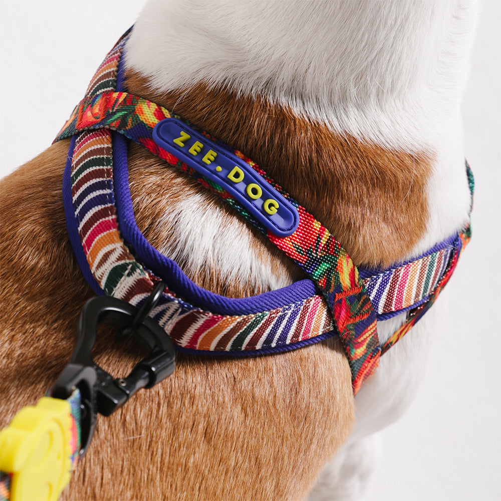 Zee.Dog – Samba SofterWalk Harness – No-Pull