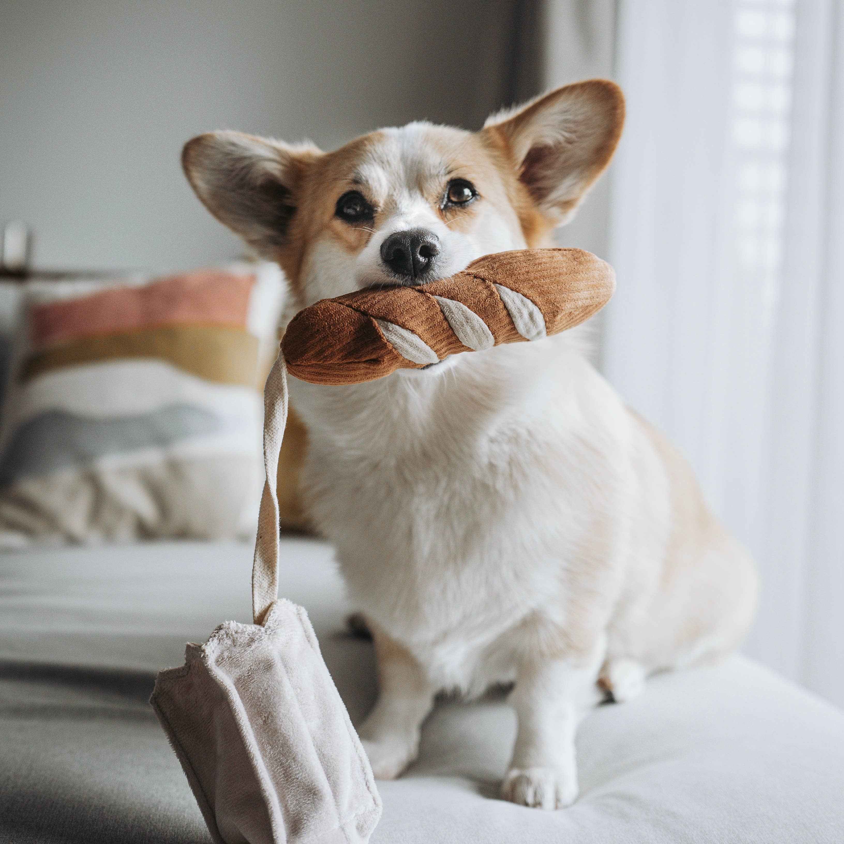 Lambwolf – Mini Baguette – Enrichment Dog Toy