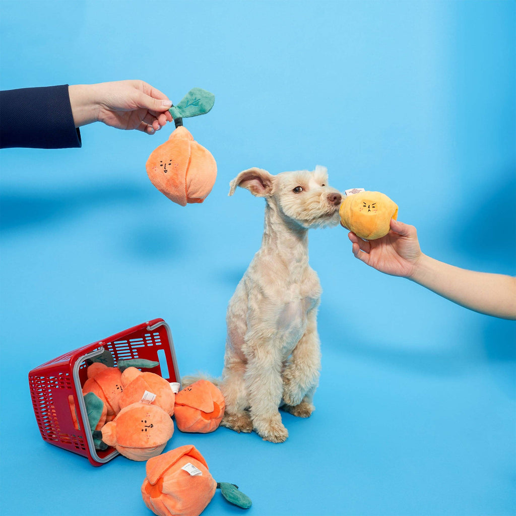 The Furryfolks – Orange – Dog Interactive Nosework Toy