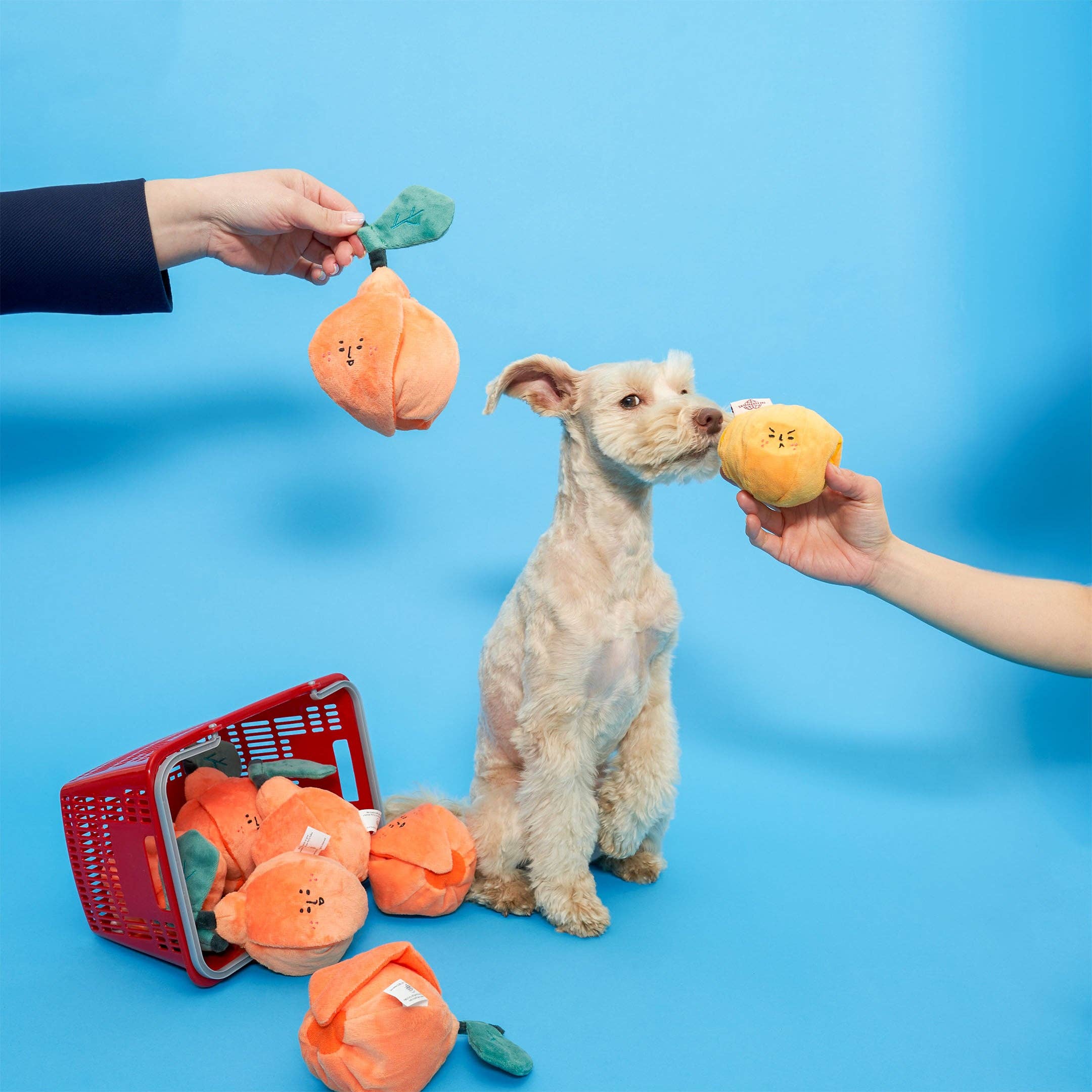 The Furryfolks – Orange – Dog Interactive Nosework Toy