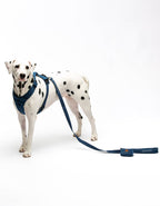 United Pets – Citylife H-Harness Jeans – Padded Comfort