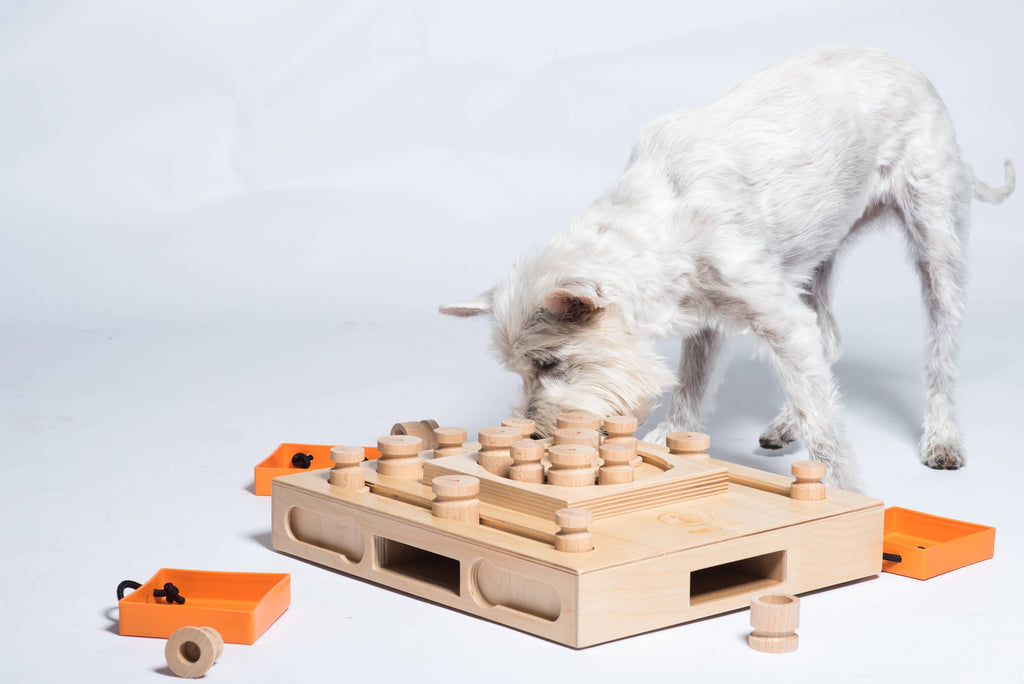 My Intelligent Dogs Turtle - Interactive Puzzle Toy for Dogs
