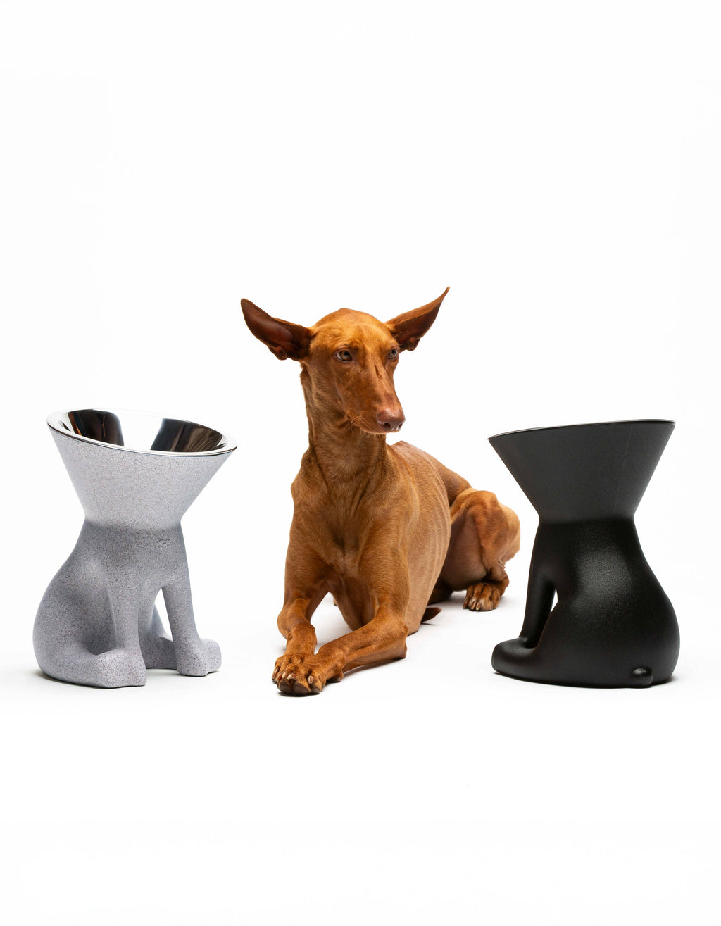 United Pets – Elizabeth – Raised Dog Bowl 1.1L