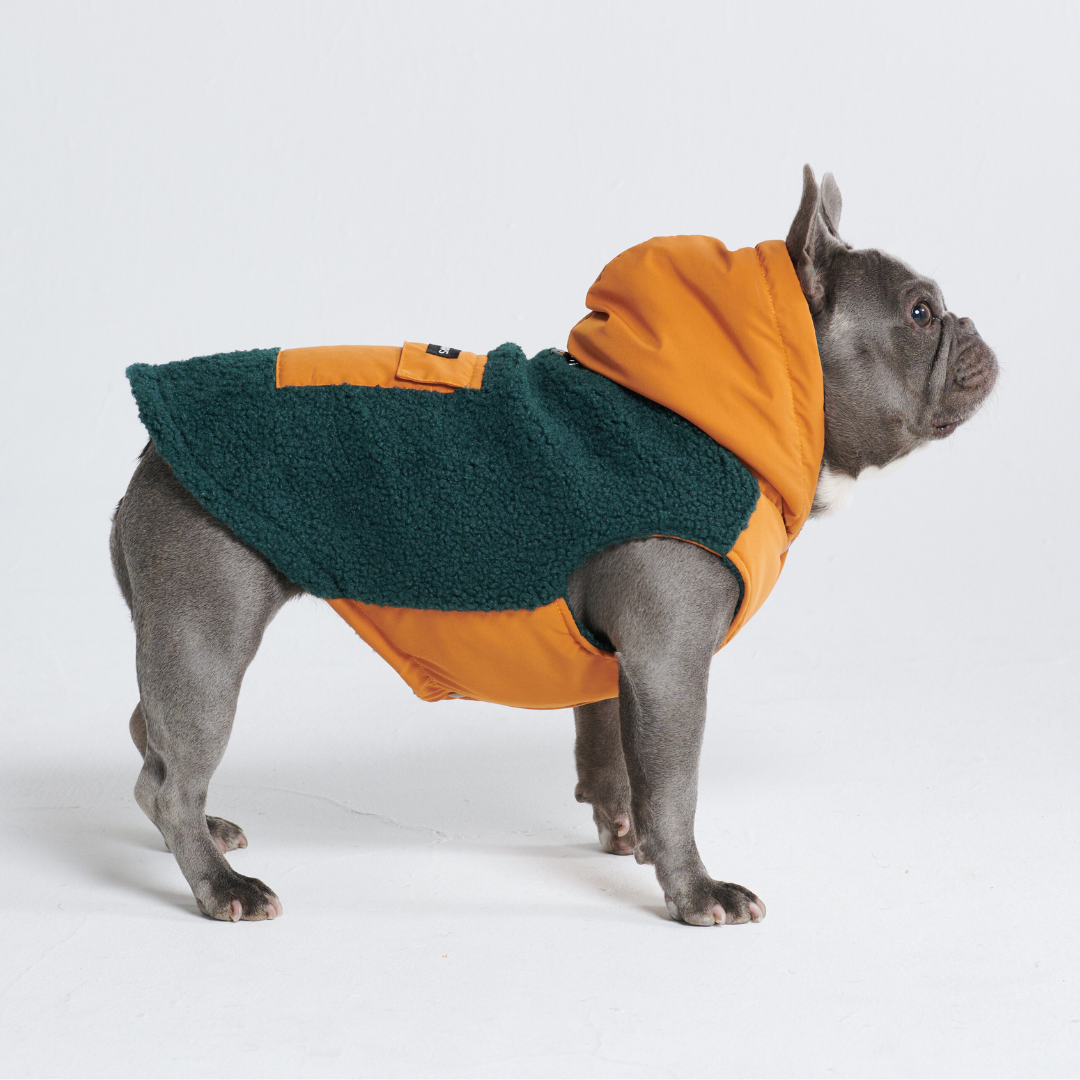 Spark Paws - Reversible Jacket - Green and Orange