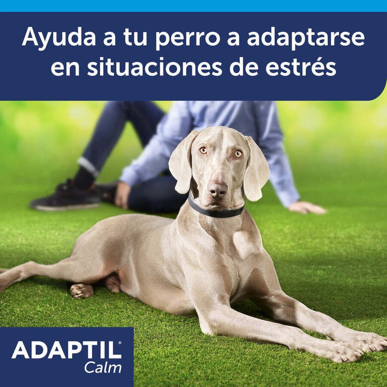 Adaptil – Calm Collar – Stress-Reducing