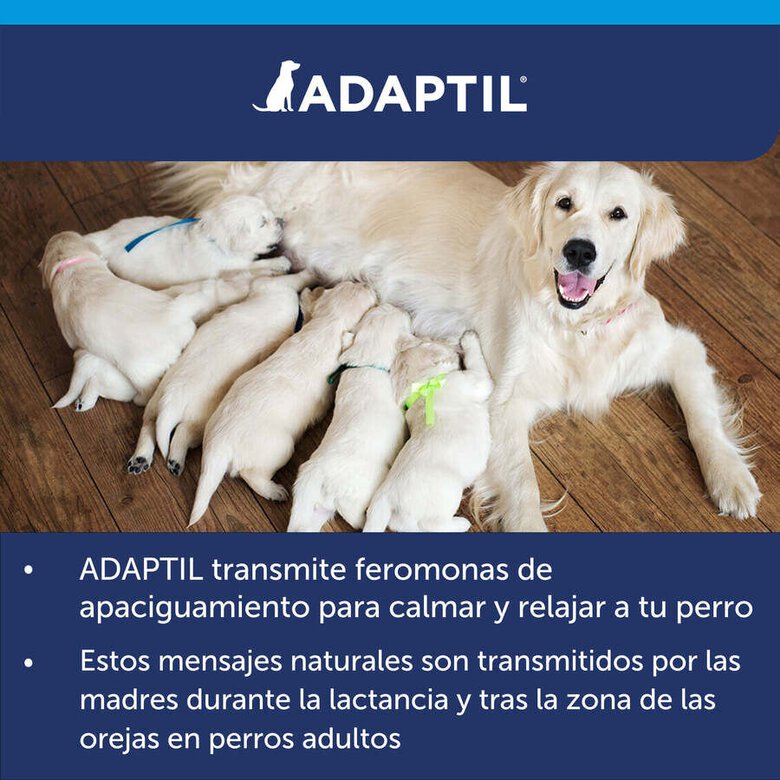 Adaptil – Calm Collar – Stress-Reducing