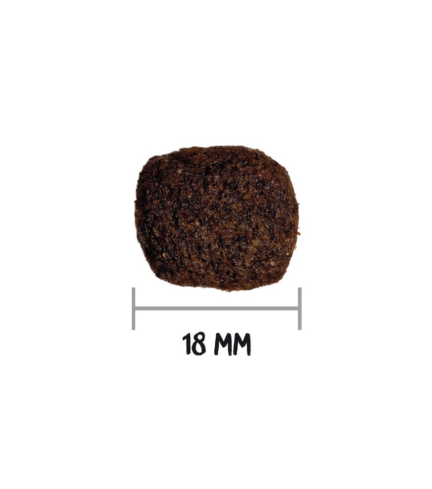 Ownat Kibble - Lamb Hypoallergenic Grain‑Free Adult Dog Food