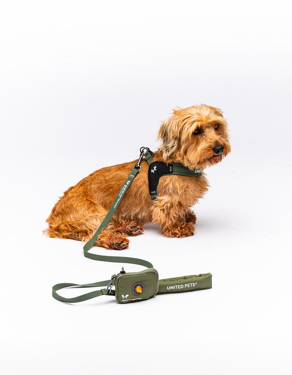 United Pets Citylife Harness size ExtraSmall 15*30-40