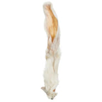 Bubimex Orejas de Conejo con pelo - Masticable Natural 