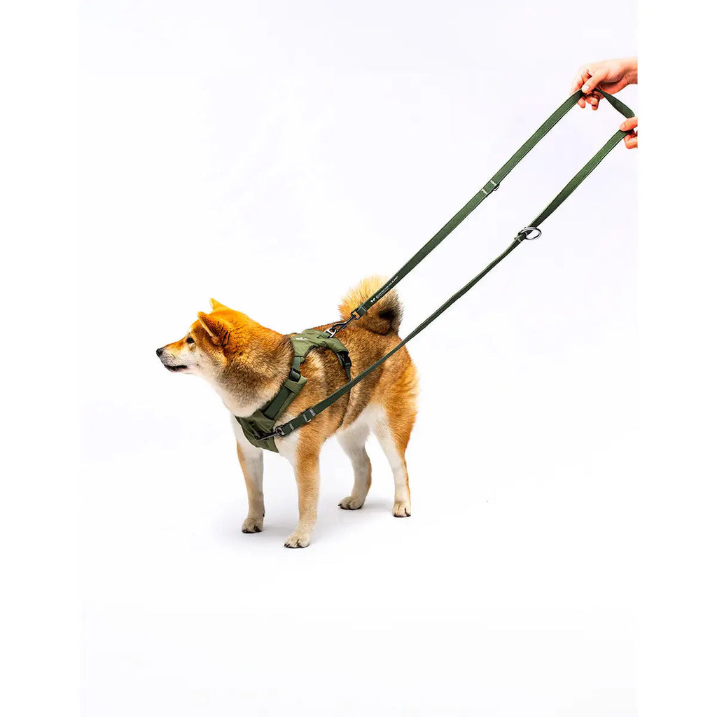 United Pets Citylife Leash multifunction Medium 20*2000