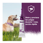 Vectra – 3D Dog Treatment – Flea & Tick Defence