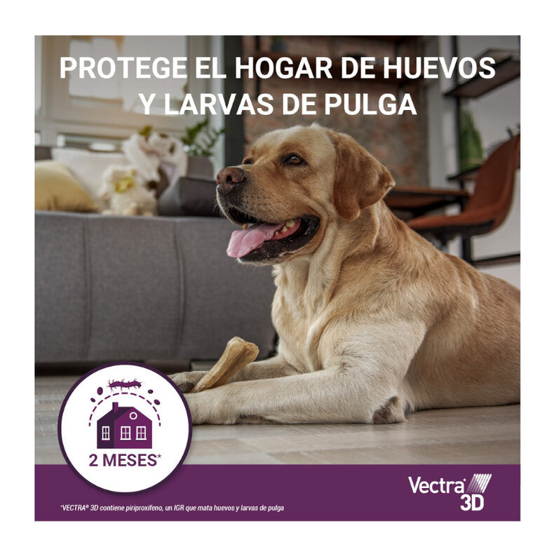 Vectra – 3D Dog Treatment – Flea & Tick Defence
