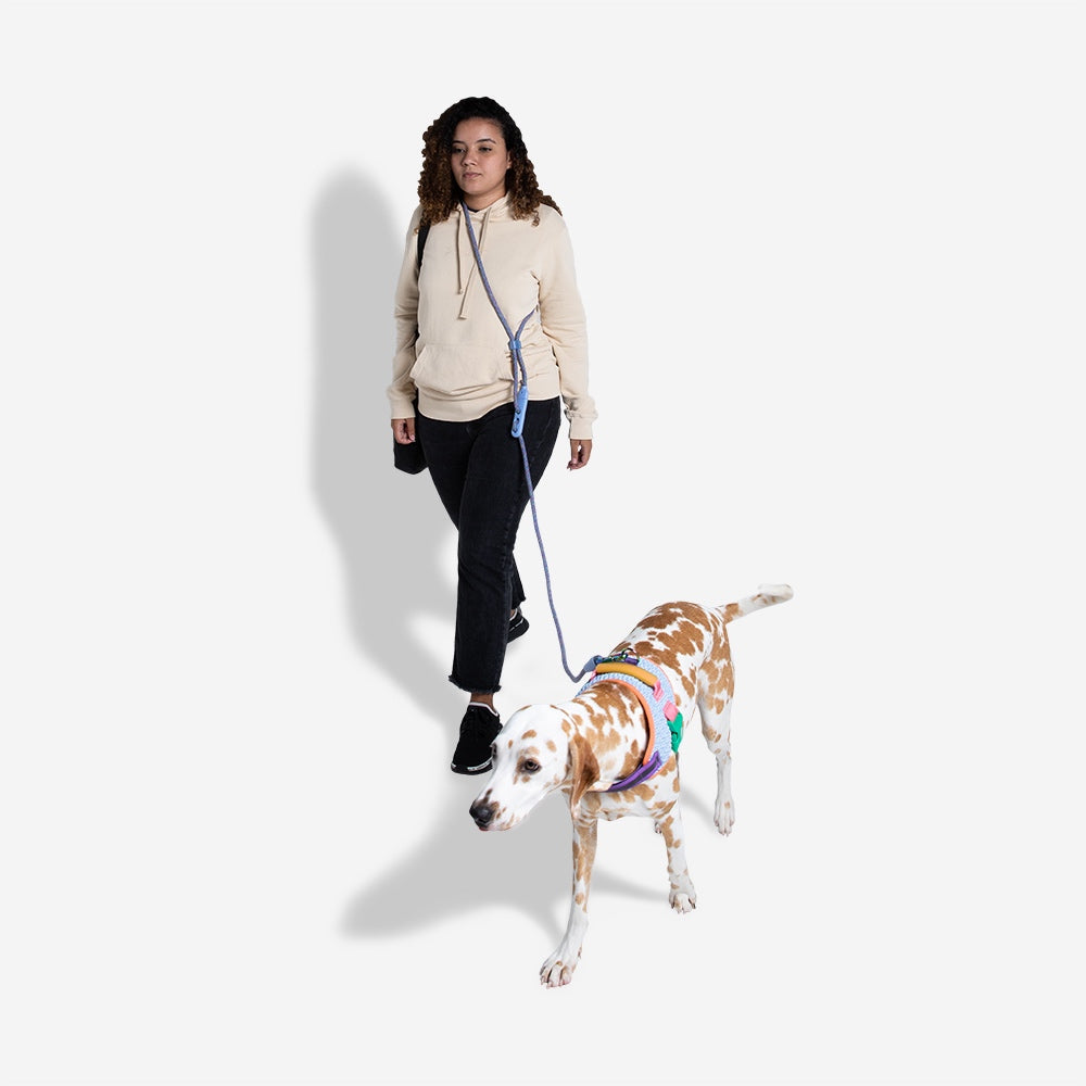 Zee.Dog – Correa Manos Libres – Andromeda