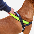 Zee.Dog – Nox SofterWalk Harness – No-Pull