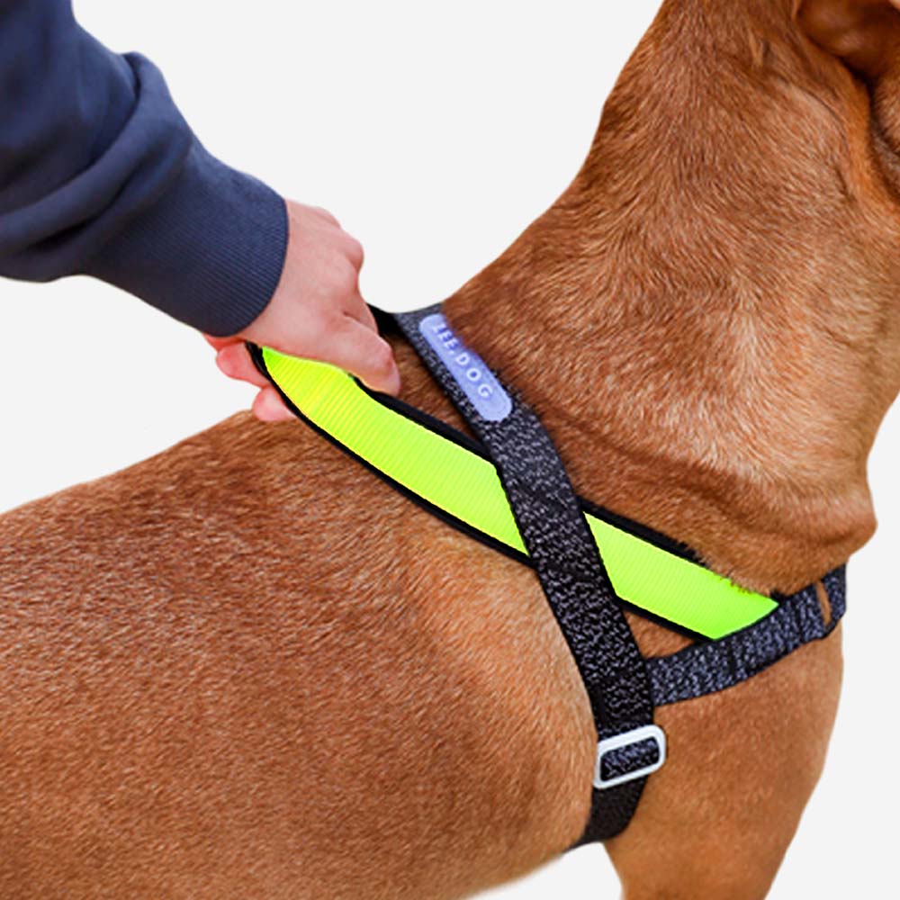 Zee.Dog – Nox SofterWalk Harness – No-Pull