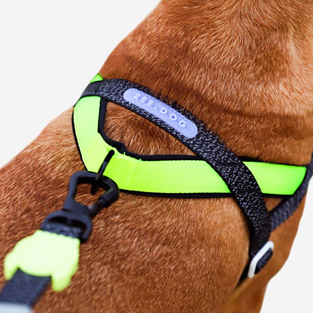 Zee.Dog – Nox SofterWalk Harness – No-Pull