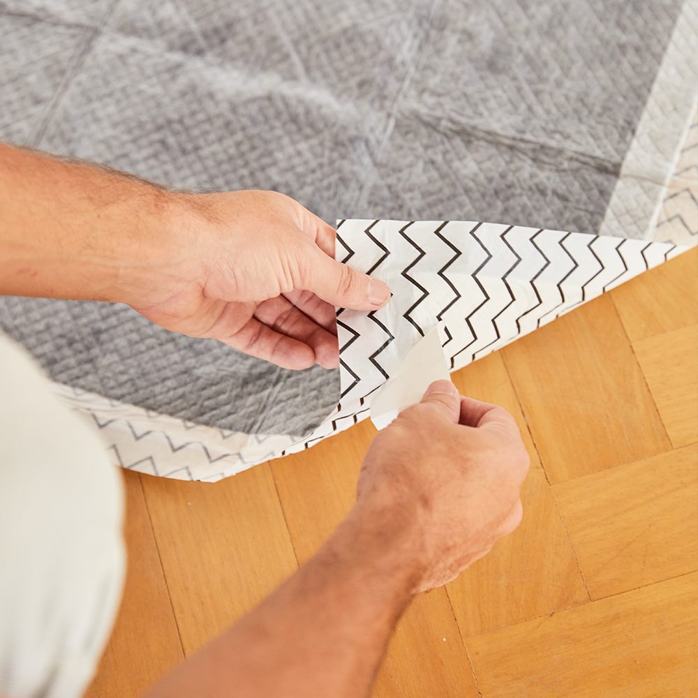 Zee.Dog – Empapador – Carbón de Bambú Japonés