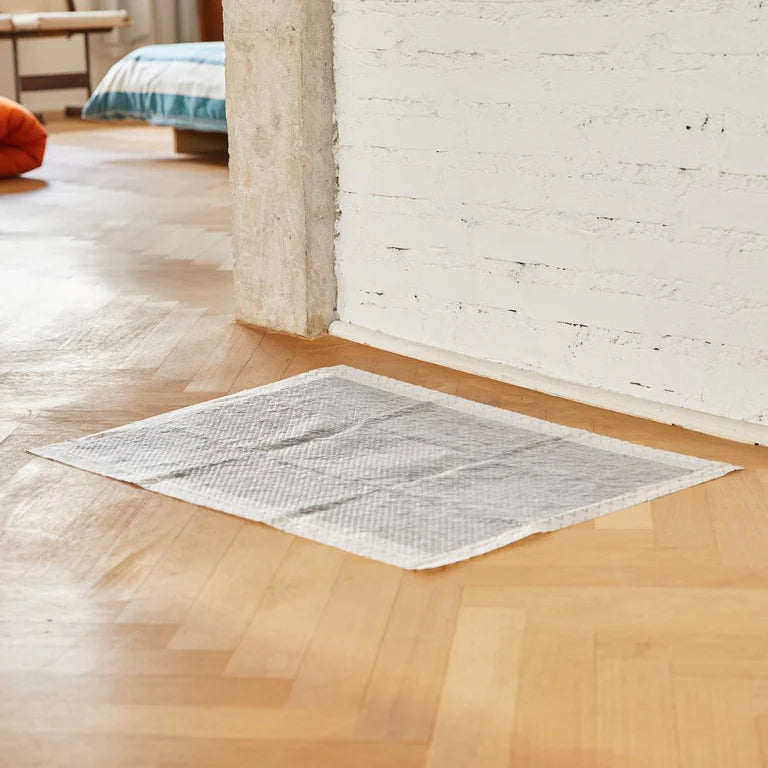 Zee.Dog – Empapador – Carbón de Bambú Japonés